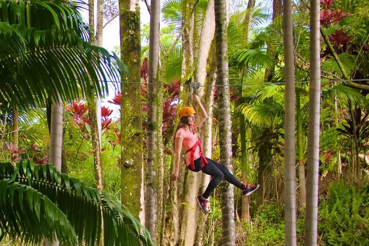 Big Island: 8-Zipline & Suspension Bridge Waterfall Adventure