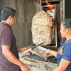 Image 4: Cancún City Taco Tour with Transportation