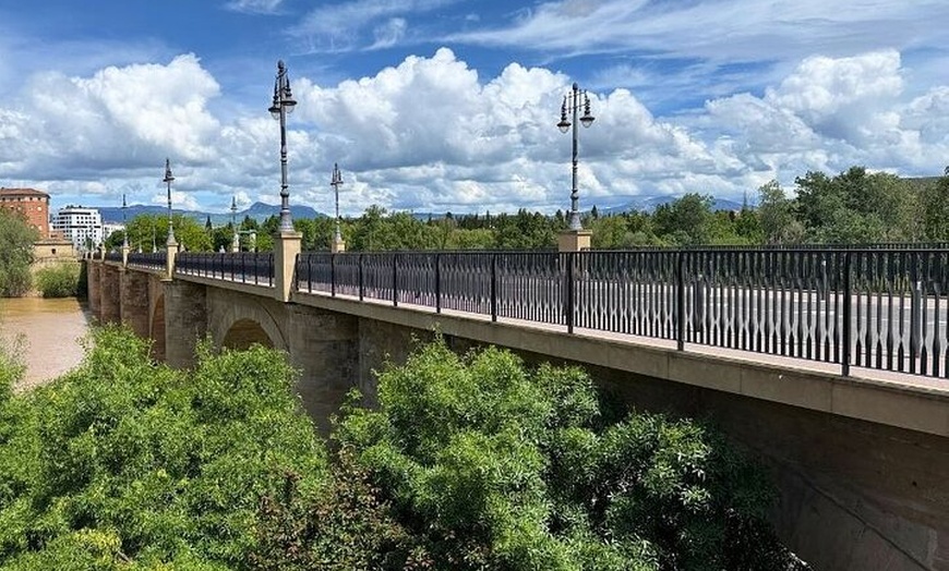 Image 7: Visita Logroño a tu Ritmo con tu Móvil Sin Grupos ni Horarios.