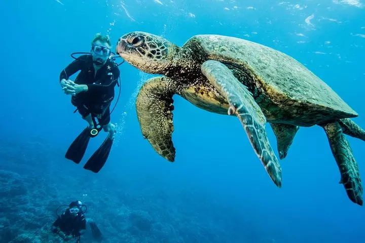 Maui Certified Shore Diving from Lahaina