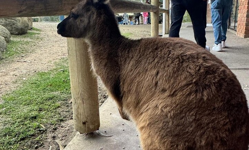 Image 5: Melbourne Private Ballarat Sovereign Hill Gold Mine Tours