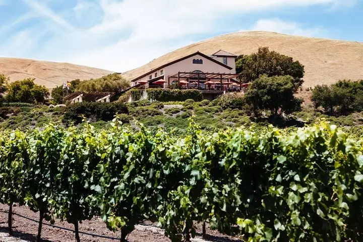 Private Sonoma and Napa Wine Tour Including Custom Concierge - Primary Image