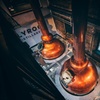 Image 2: Edinburgh: Holyrood Distillery Whisky and Gin Tour & Tasting