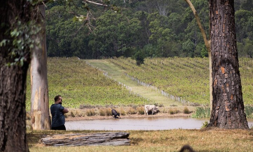 Image 12: Hunter Valley All Inclusive, Wine, Chocolate Tasting and Lunch