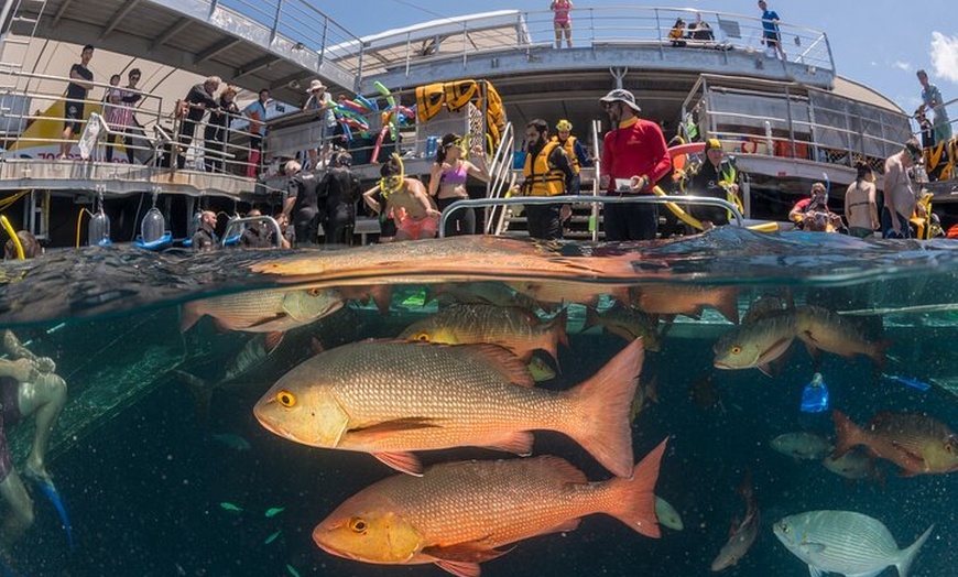 Image 5: Quicksilver Pontoon and 10 Minute Scenic Helicopter Flight