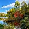 Image 12: ✈ QUEBEC | Montreal - Autotour Sulle Strade del Québec 3*, 12 notti...