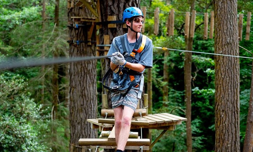 Image 3: Launceston: Hollybank Treetops Adventure - Zipline Tours