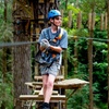 Image 3: Launceston: Hollybank Treetops Adventure - Zipline Tours