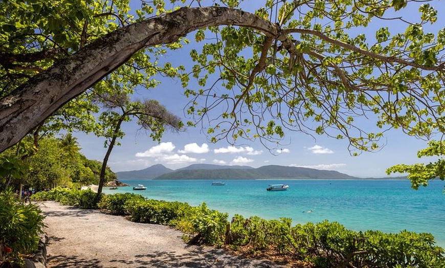 Image 6: Afternoon Fitzroy Island Escape – Return Ferry Included