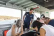 Great Keppel Island Snorkel and Glass Bottom Boat Experience - Image 2