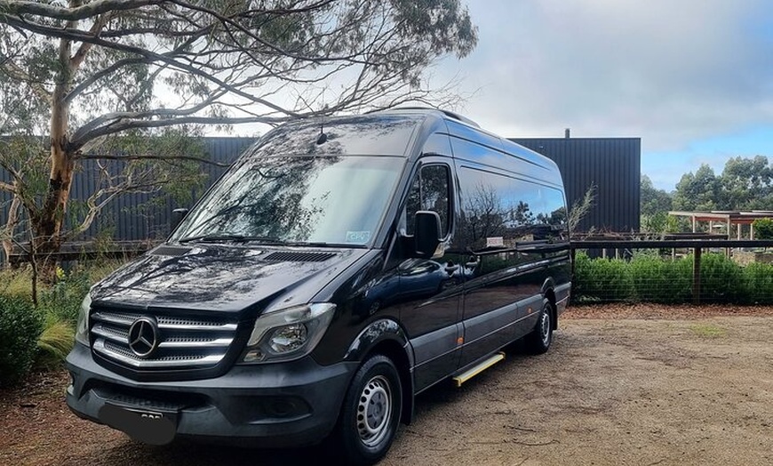 Image 11: Great Ocean Road Private Luxury Tour