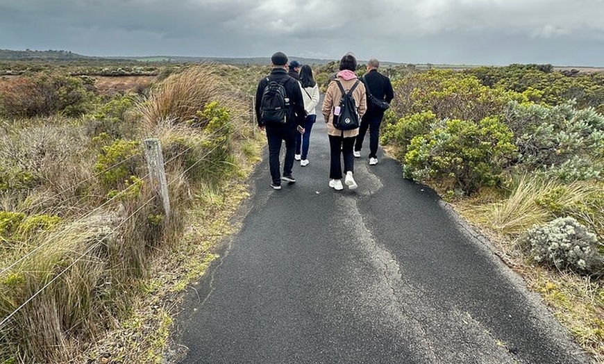 Image 10: Great Ocean Road 12 apostles PRIVATE Luxury Tour 5 PAX all incl.