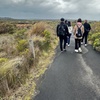 Image 10: Great Ocean Road 12 apostles PRIVATE Luxury Tour 5 PAX all incl.