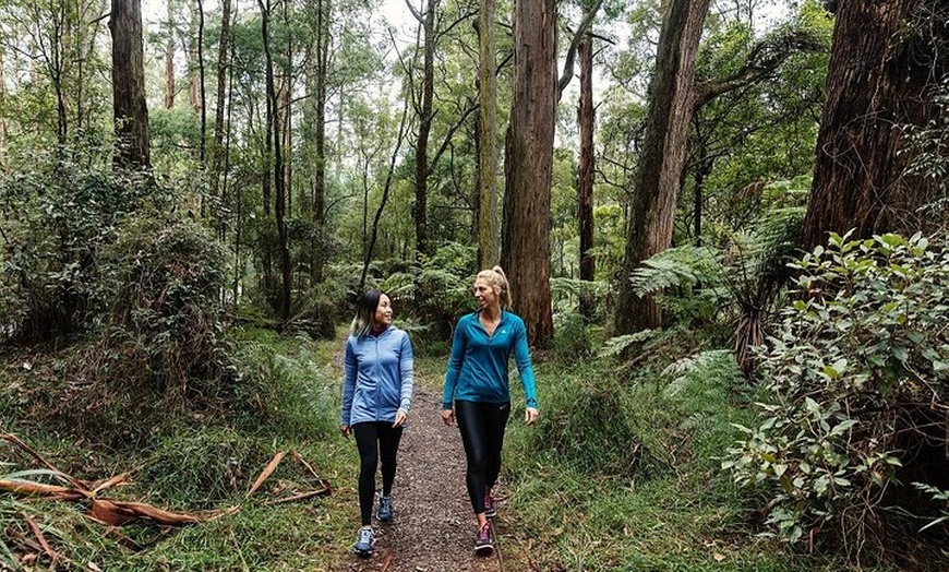 Image 2: Puffing Billy & Rainforest Tour from Melbourne