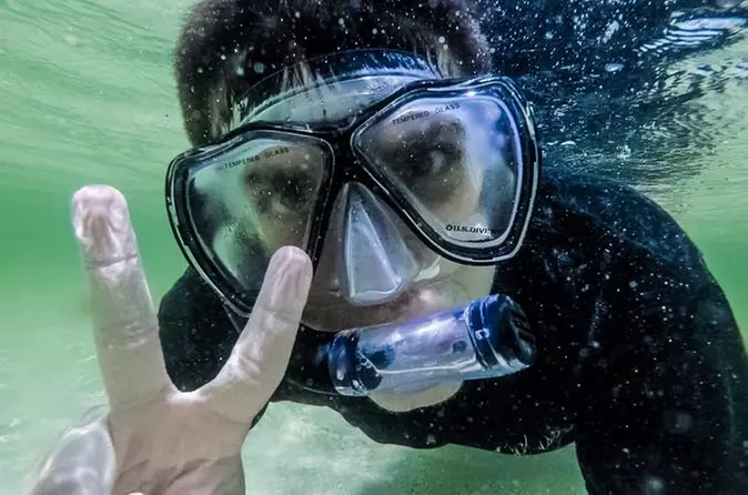 Bonita Springs Kayak Snorkel Shell Tour - Primary Image
