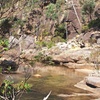 Image 2: Blue Mountains 3 Hour Guided Eco Tour - close to Sydney