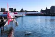 Victoria Scenic Panorama Seaplane Tour (Cruise-Friendly) - Second Medium