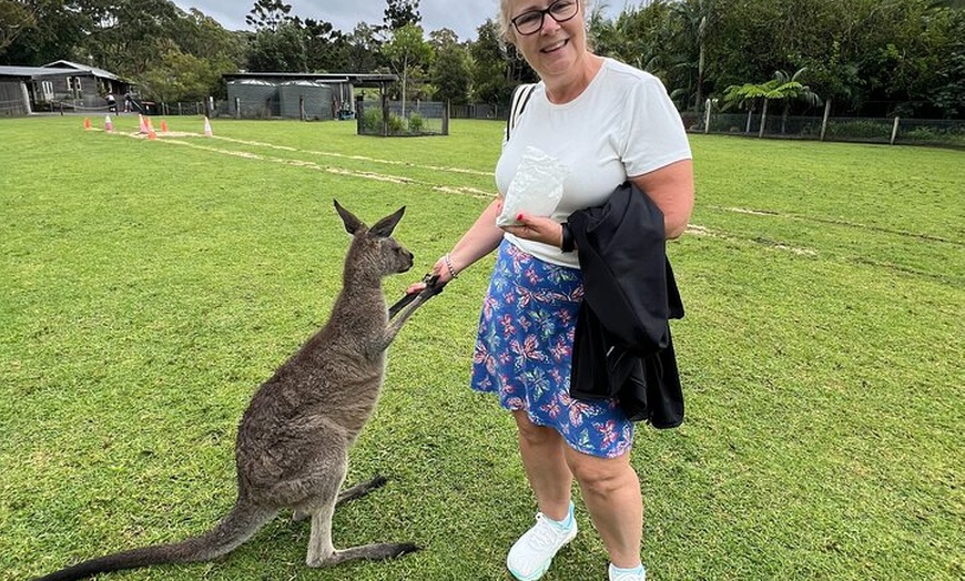 Image 16: South Coast Private Daily Group Tour - Pick up & Drop off