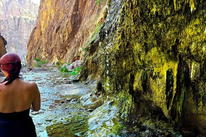 Goldstrike Hot Springs and 124 Degree Magma Heated Waterfall Hike