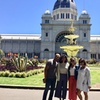 Image 2: Private 4 Hour Walking Tour of Melbourne's Highlights