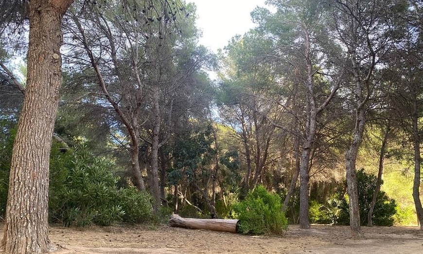 Image 7: Aventura en bicicleta desde Valencia a Humedales y playas de la Alb...