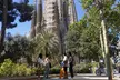 Visita guiada Sagrada Familia & Park Güell - Second Medium