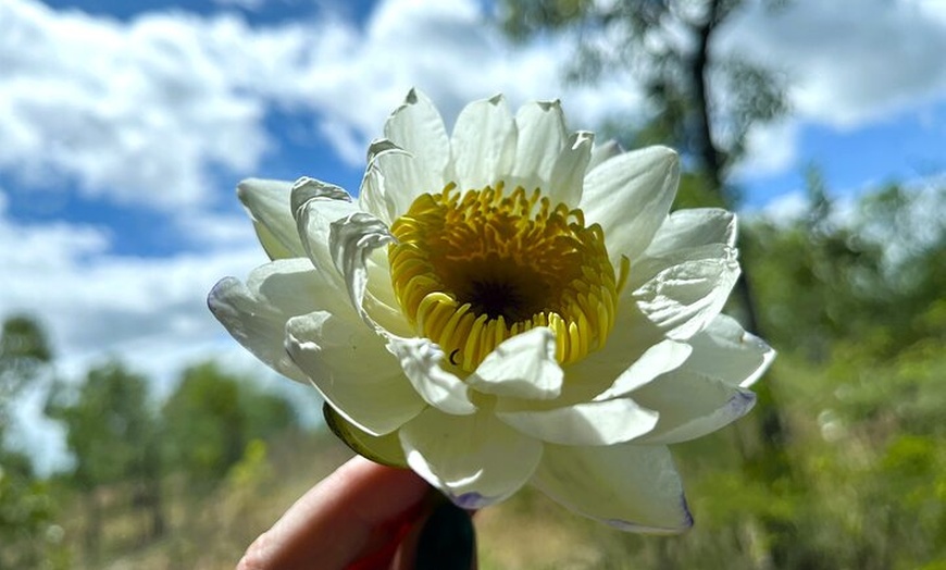 Image 13: Kakadu Wildlife Escape Fogg Dam or Crocodile Cruise from Darwin