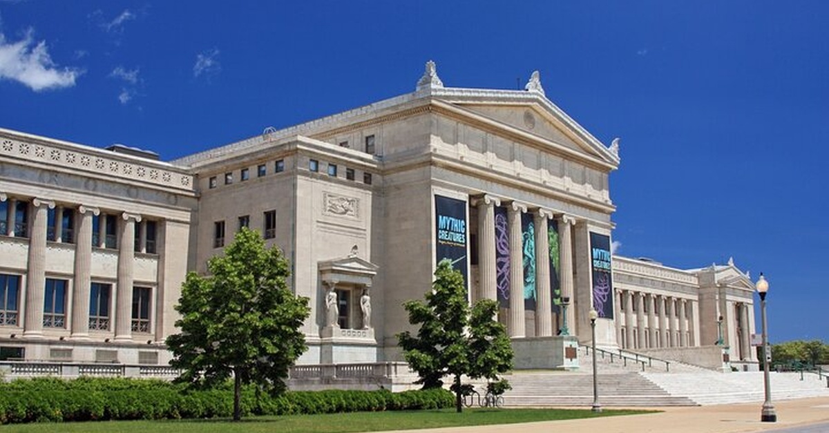 Field Museum of Natural History Chicago Tour with Tickets