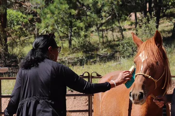 Wild Mustang Experience Near Colorado Springs