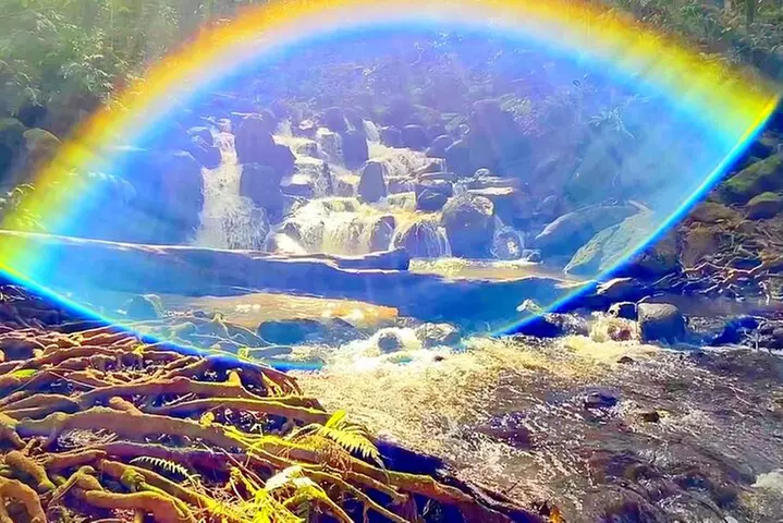 Kauai Adventure: Kayak & Hike to Secret Falls with Expert Guide
