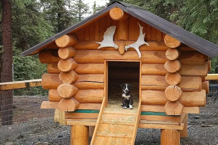 Husky Homestead Tour