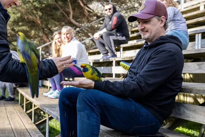 Port Arthur, Richmond and Tassie Devils Active Tour from Hobart