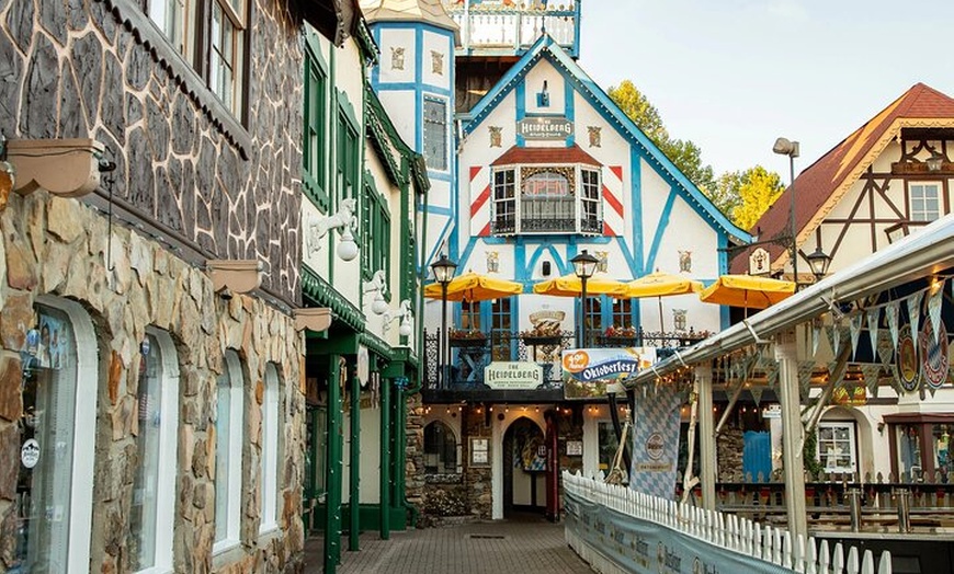 Image 3: Helen Hike Wine and Dine Private Tour from Atlanta