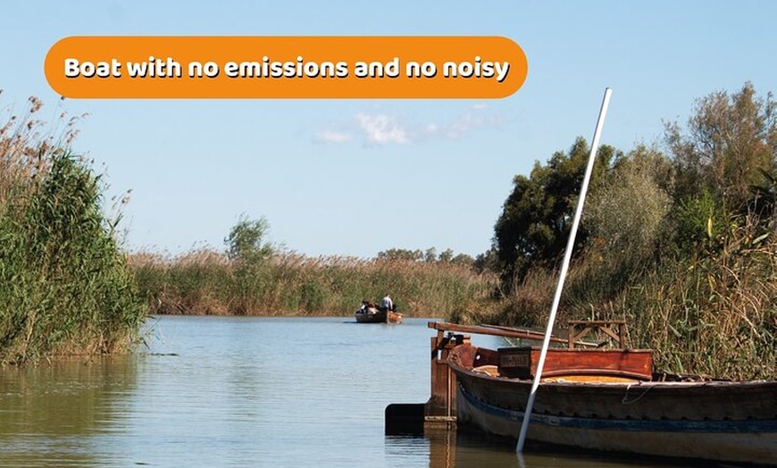Image 4: El Tour Original de la Albufera : Barraca, Paseo en Barco & Guía Local