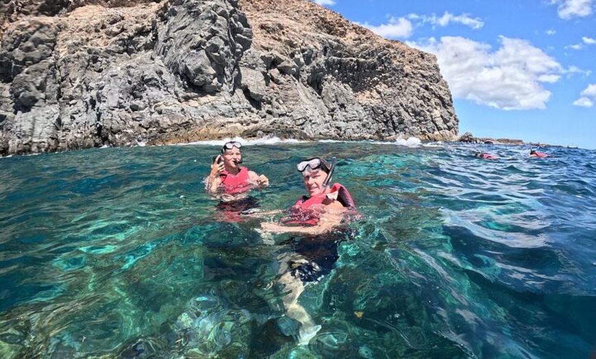 Image 6: Kayak con delfines y tortugas y snorkel en Palmmar