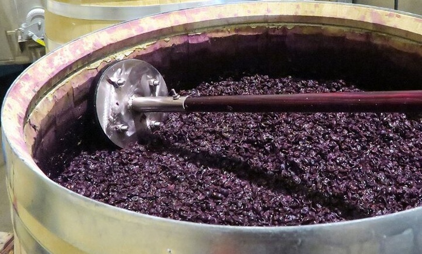 Image 16: Rioja Alavesa: Auténticas experiencias de vino