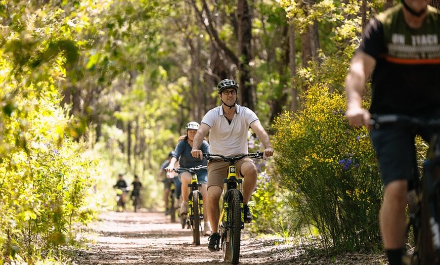 Image 5: Half Day Wadandi Track Scenic E-Bike Tour