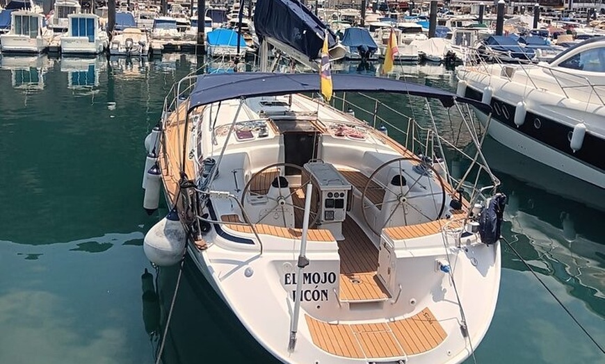 Image 7: Excursión en velero de Delfines y Ballenas en Los Gigantes