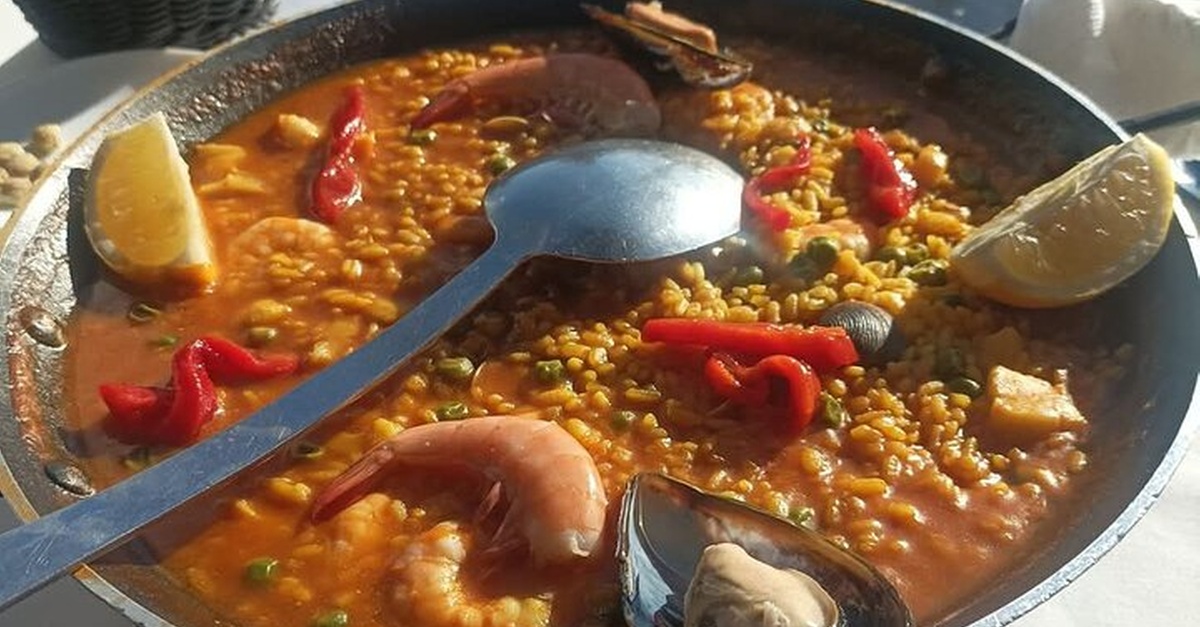 Clases de español en la naturaleza de Camaleon Idiomas en Málaga