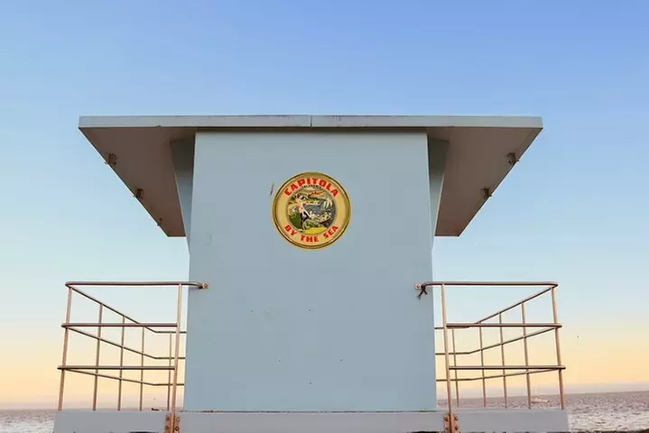 Redwood Forest, Santa Cruz Harbor 1-Day Trip from San Francisco