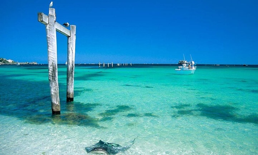 Image 8: 2 Day Perth to Busselton and Margaret River Tour