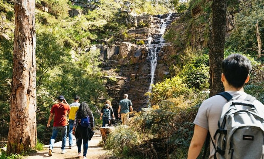 Image 4: Grampians National Park Small-Group Eco Tour from Melbourne