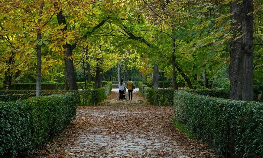 Image 4: Excursión privada al Parque del Retiro con guía local