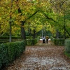 Image 4: Excursión privada al Parque del Retiro con guía local