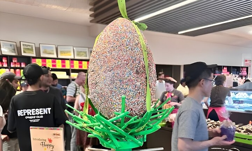 Image 10: Yarra Valley Small Group | Redwoods, Wildlife, Winery & Chocolate