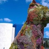 Image 2: Entrada al Museo Guggenheim Bilbao