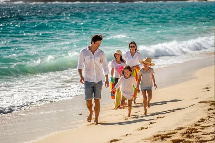 Oahu Private Tour with Mercedes Sprinter & New Luxury Vehicles