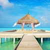 Image 10: ✈ MALDIVES | Atoll Malé Sud - Taj Exotica Resort & Spa, Maldives 5*...