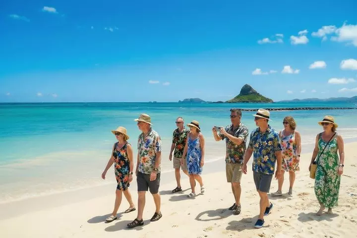 Oahu Private Tour with Mercedes Sprinter & New Luxury Vehicles