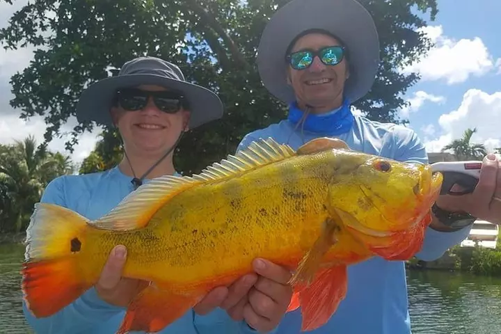 Peacock Bass Fishing Trips Near Miami Florida